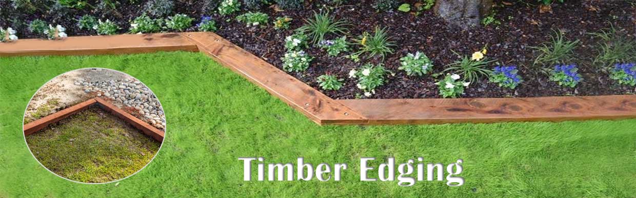 From basic to beautiful: Elevating your home with door thresholds, wall protectors, and timber edging